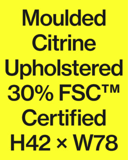 standard-projects-programa-type-specimen-1-poster-web Standard Projects